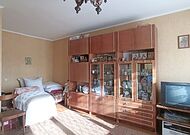 Однокомнатная квартира в д.Жабчицы (Красичин) - 530027, мини фото 2