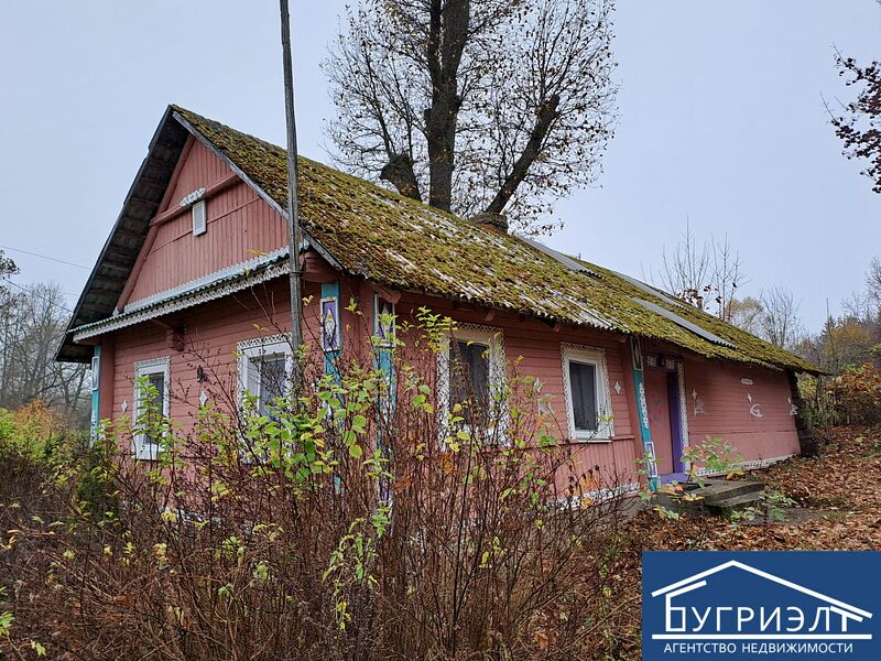 Продается дом в деревне, рядом Раков - 420039, фото 1