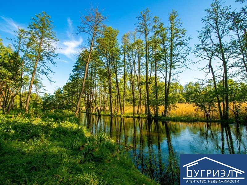 Хутор по дороге на Августовский канал - 630013, фото 1